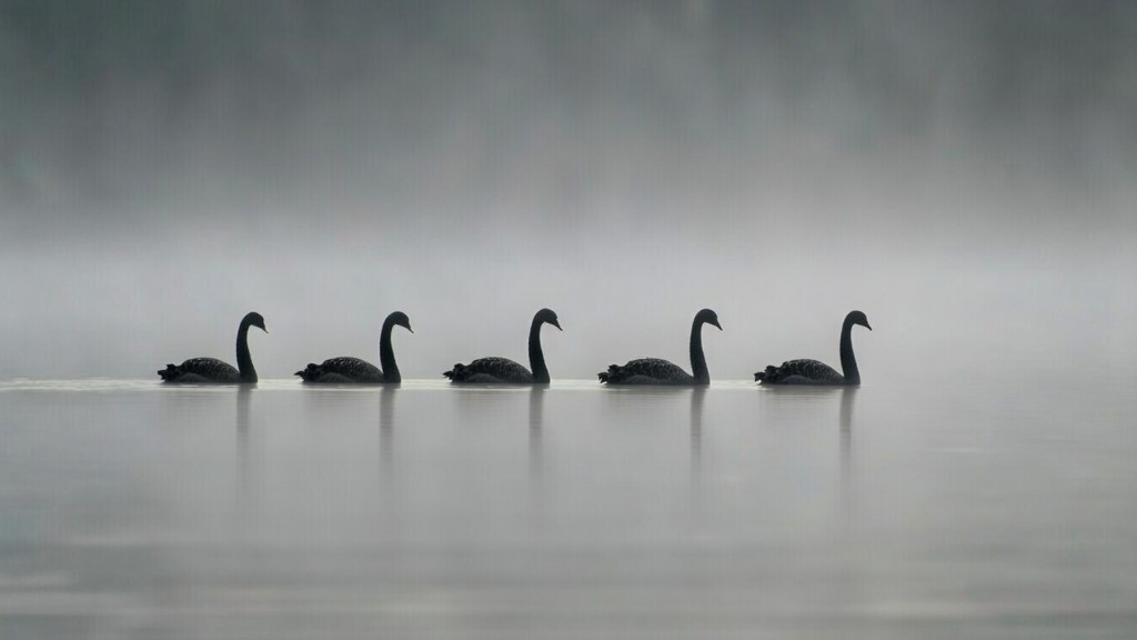 Black Swans masterclass for health