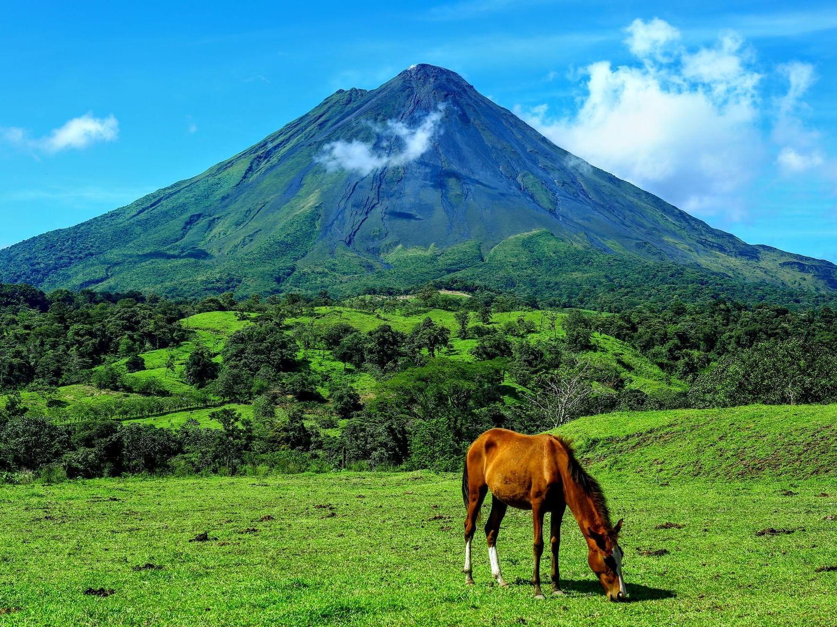 Coastal view in Costa Rica